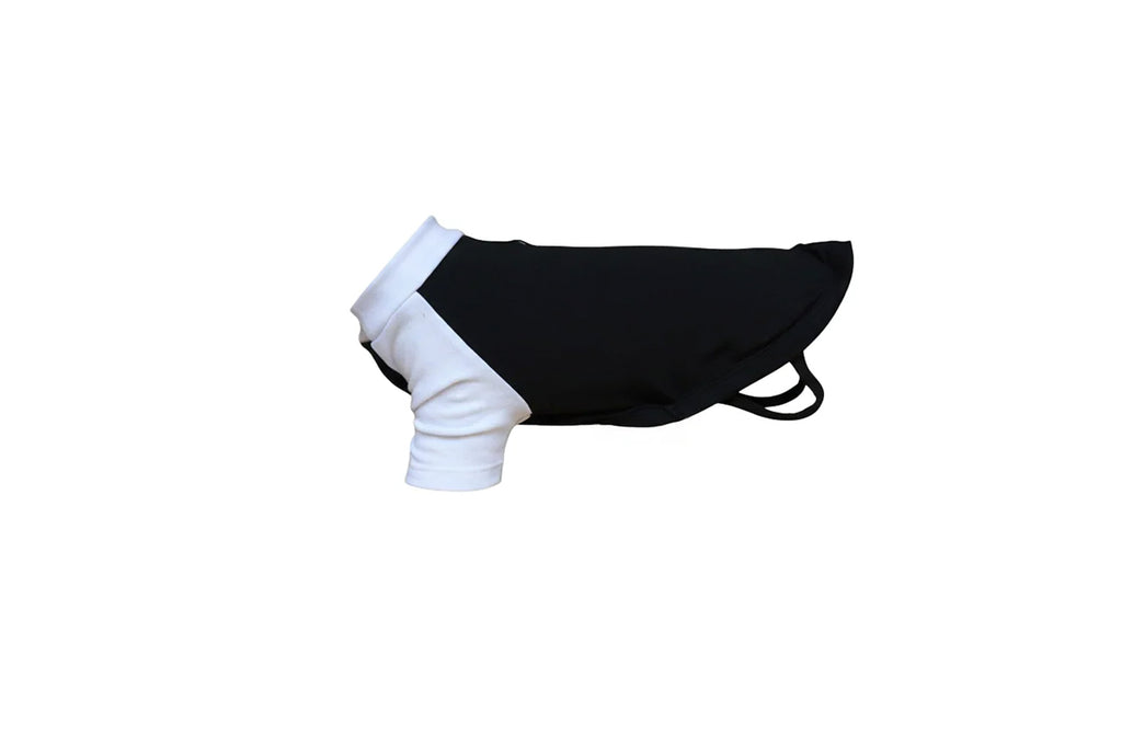 Dog's raglan t-shirt