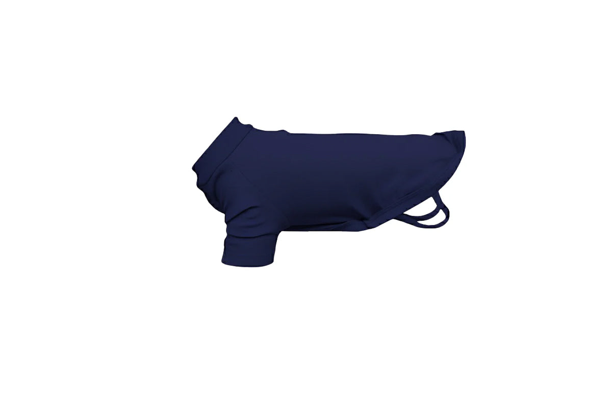 Dog's raglan t-shirt