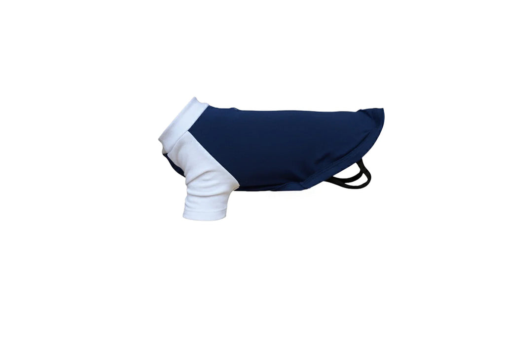 Dog's raglan t-shirt