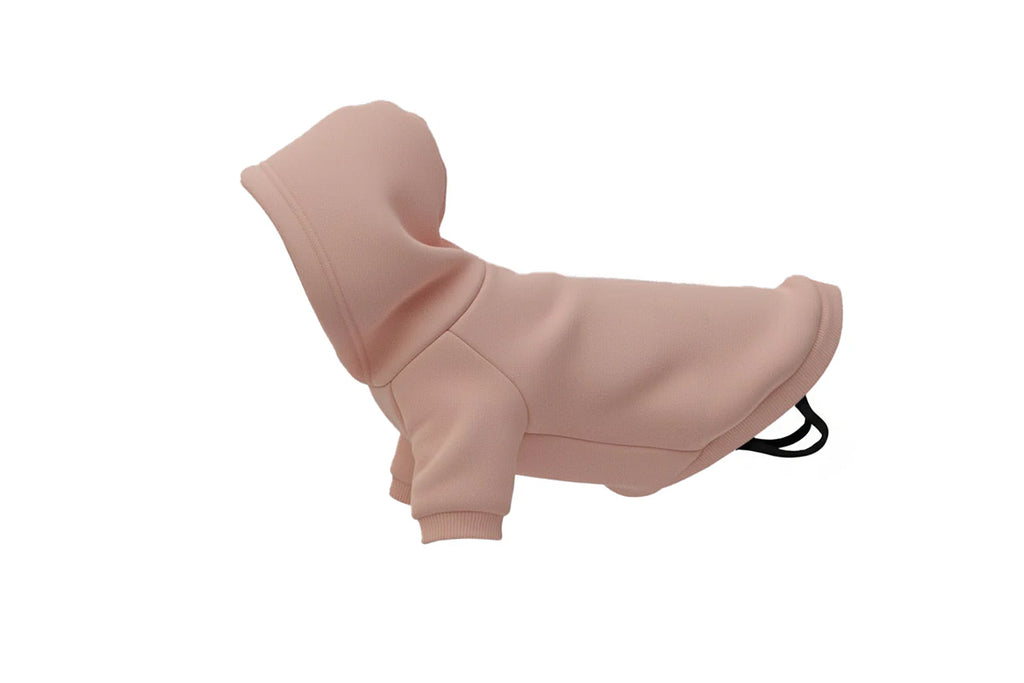 Dog's hoodie