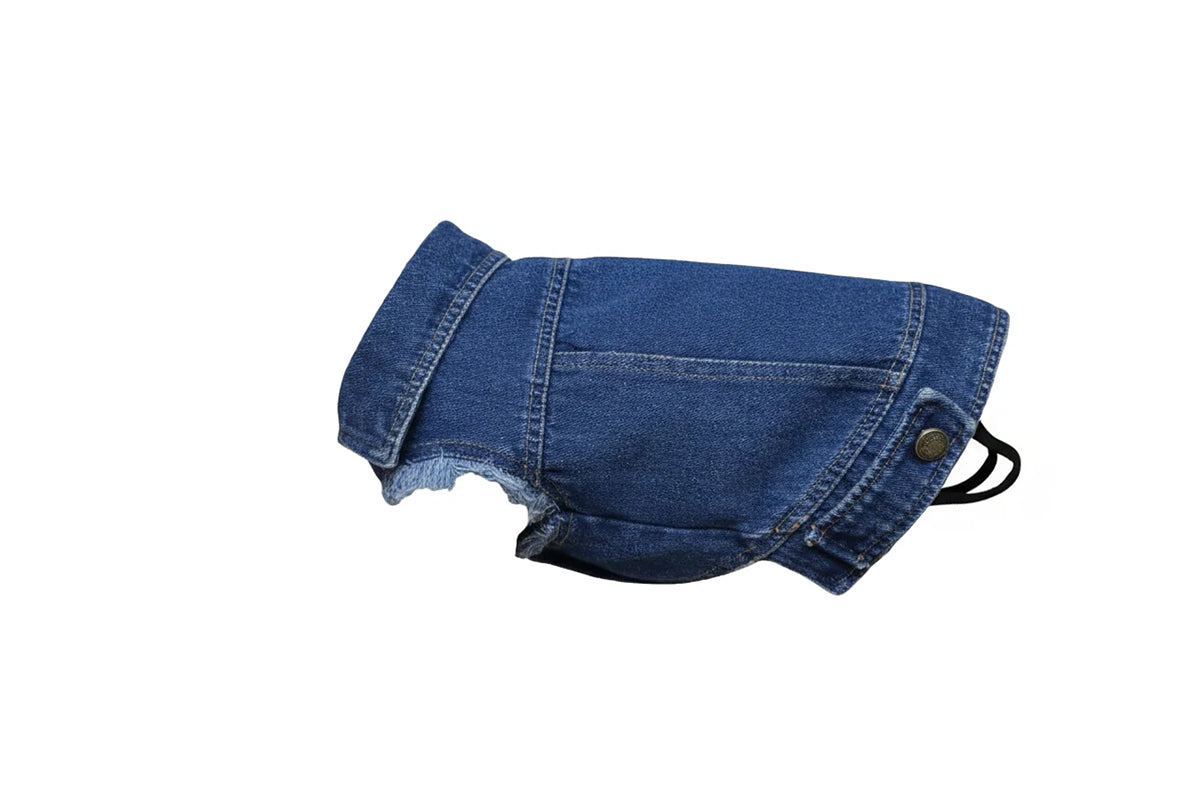 Dog's denim jacket