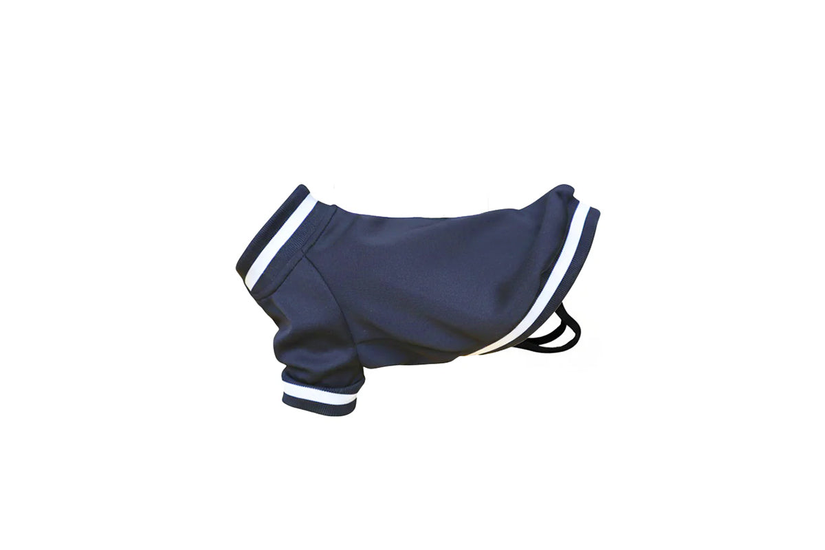 Dog's varsity jacket - Navy